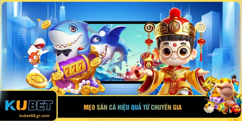 Mẹo săn cá hiệu quả từ chuyên gia